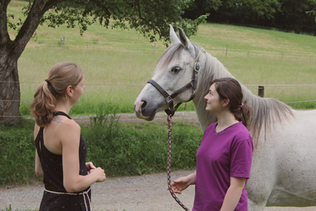 Pferdegestütztes Coaching einer jungen Frau 
